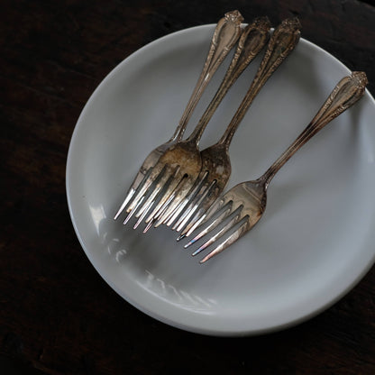 Schmidt Medium Plate φ19cm