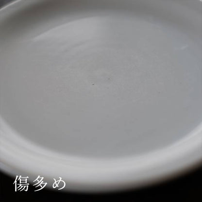 Schmidt Medium Plate φ19cm
