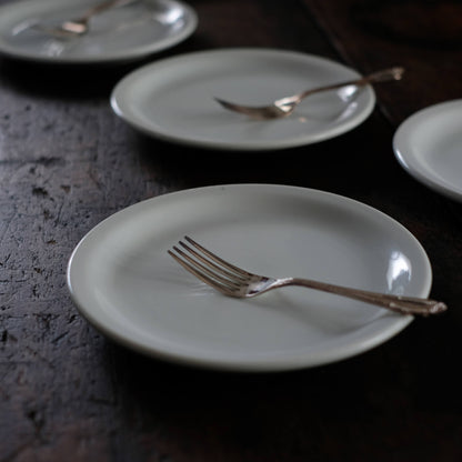 Schmidt Medium Plate φ19cm