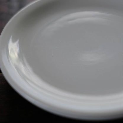 Schmidt Medium Plate φ19cm