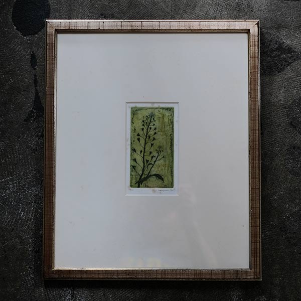 Watercolor "Shepherds Purse"