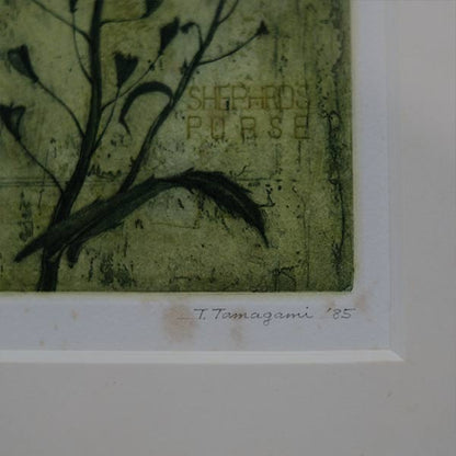 Watercolor "Shepherds Purse"