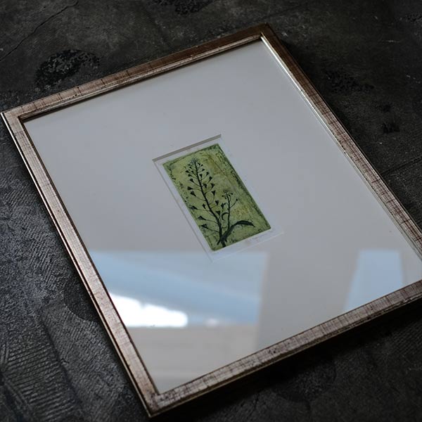 Watercolor "Shepherds Purse"