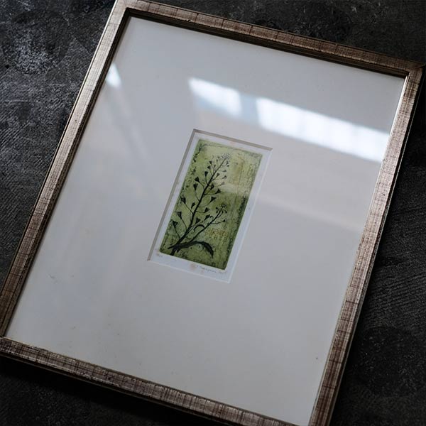 Watercolor "Shepherds Purse"