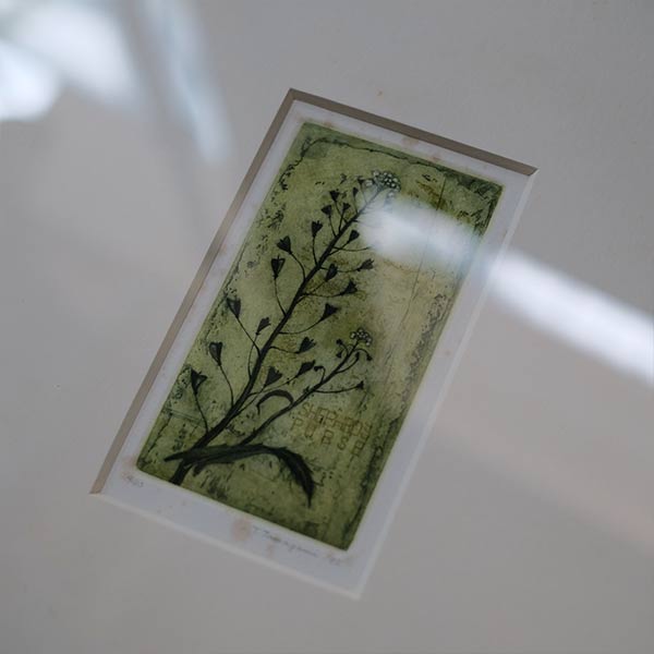 Watercolor "Shepherds Purse"