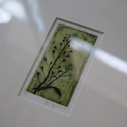 Watercolor "Shepherds Purse"