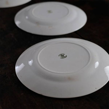 S.P.M.C. IRONSTONE 縁に模様の入った皿 φ23.5cm