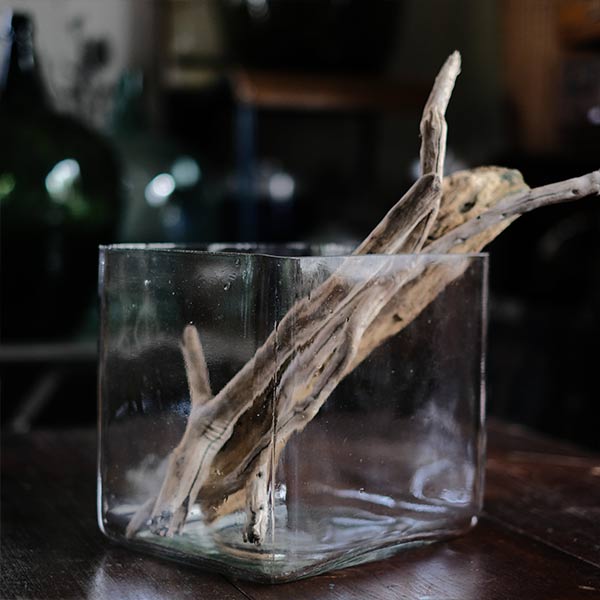 square glass aquarium