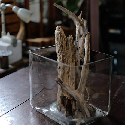square glass aquarium