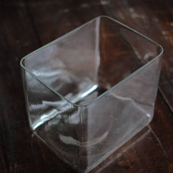 square glass aquarium
