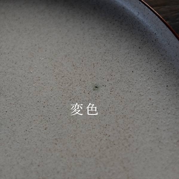 STONEWARE Large Plate φ27cm (Deadstock)