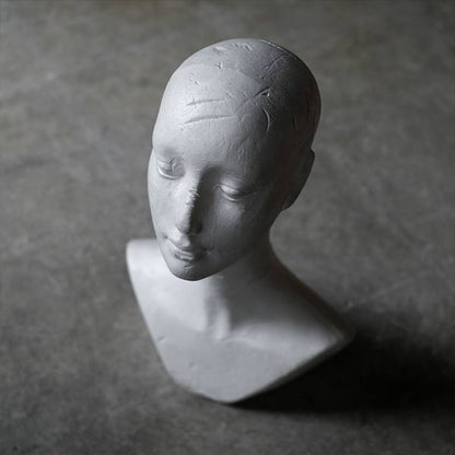 Styrofoam torso