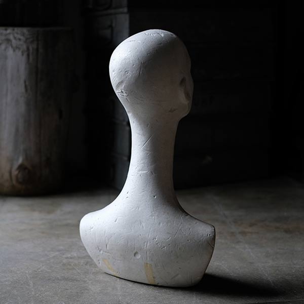 Styrofoam torso