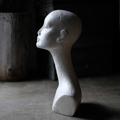 Styrofoam torso