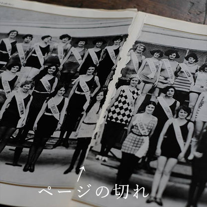 This Fabulous Century 全8巻セット