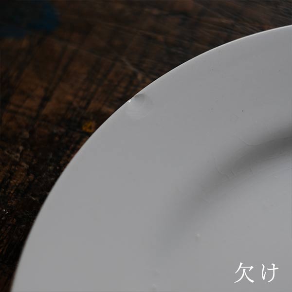 TNT IRONSTONE 中皿 φ20.5cm