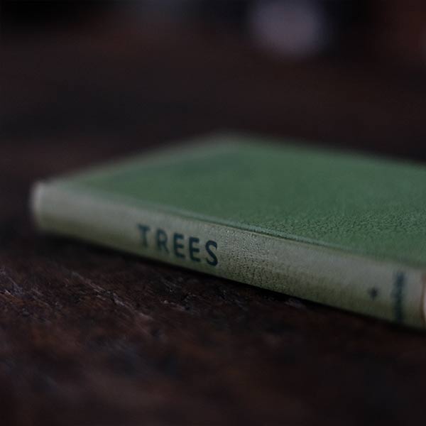 The Observer's Book of Trees