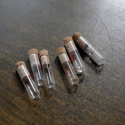A set of small jars containing mechanical watch parts