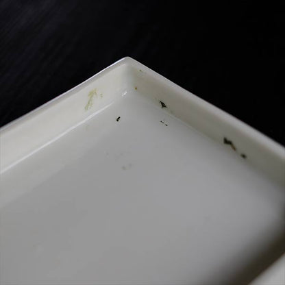White porcelain water basin