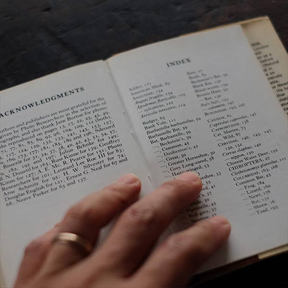 The Observer's Book of WILD ANIMALS