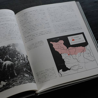 WORLD WAR II: The Road to Liberation