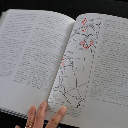 WORLD WAR II: The Road to Liberation