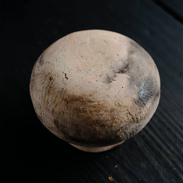 弥生土器の瓷